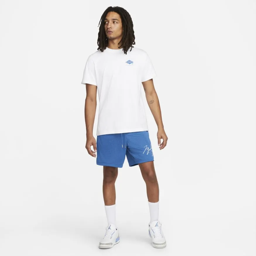 Jordan Essentials Mesh Shorts