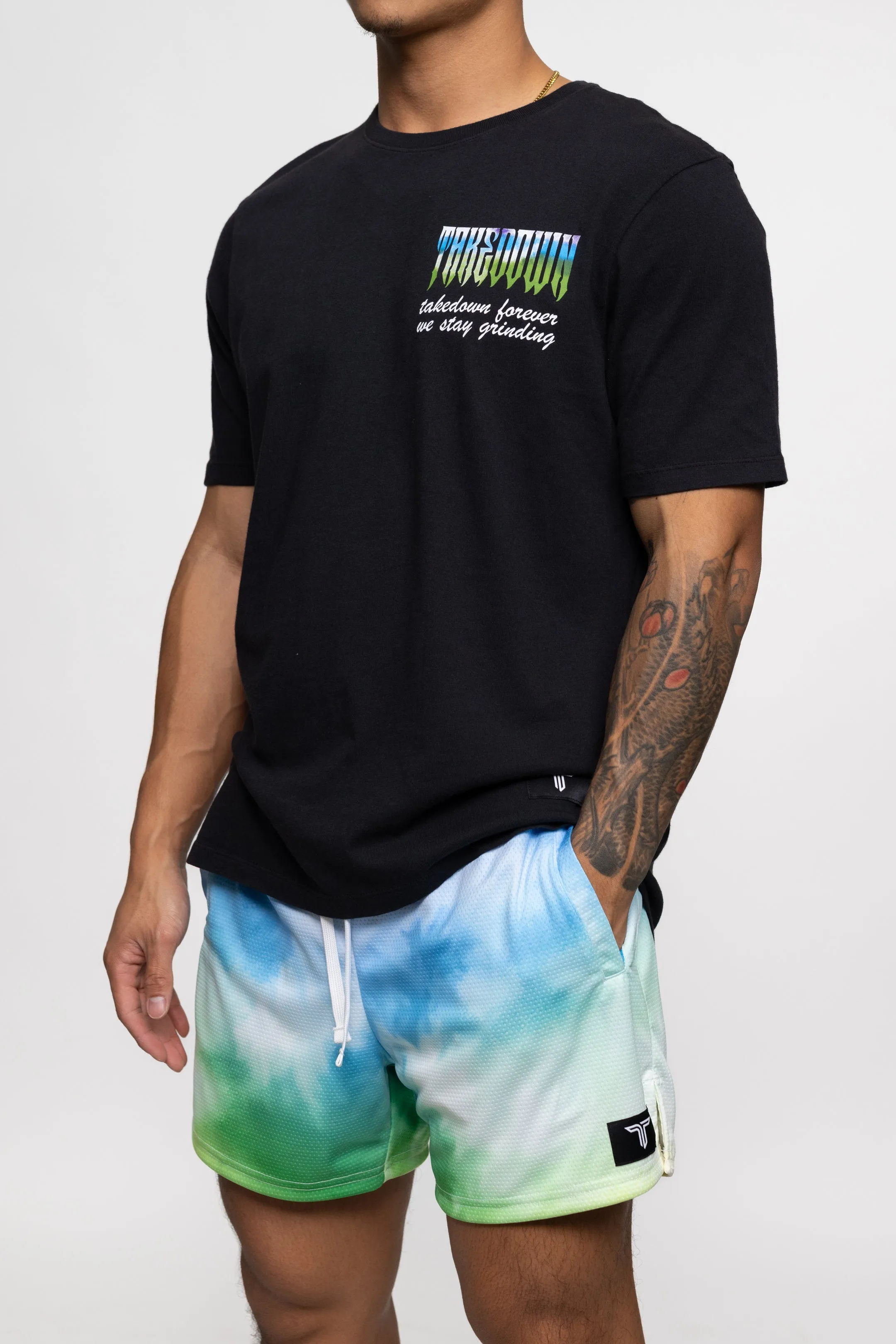 Mesh Training Short (5" Inseam) - Prism