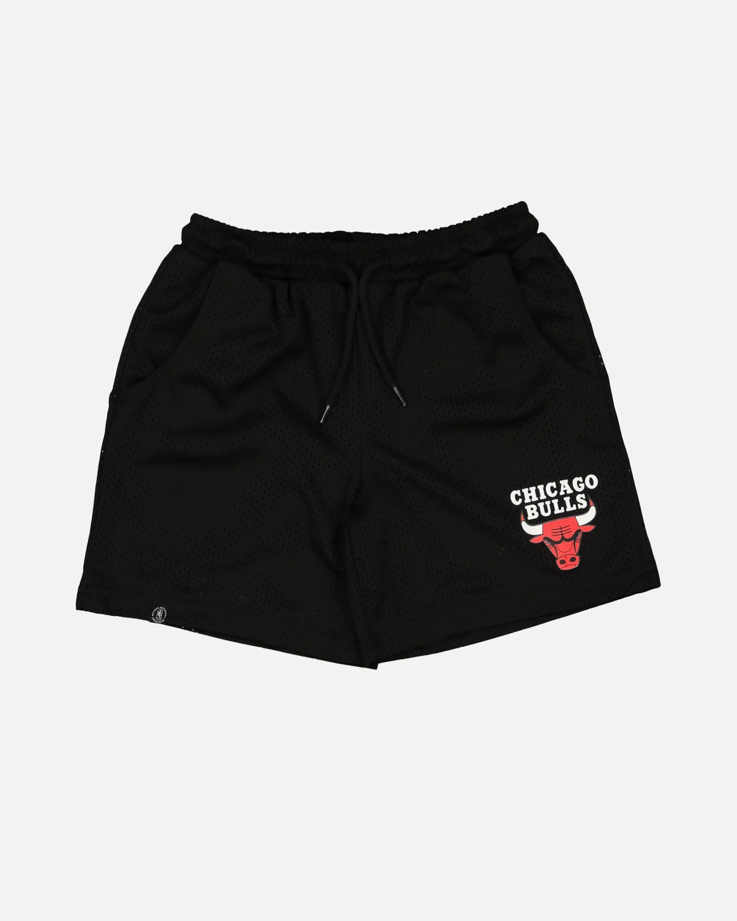 NBA Kids' Chicago Bulls Team Mesh Shorts Black